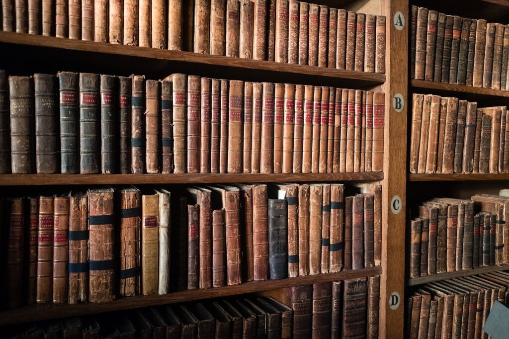 Books Bookcases Old Read Old Books  - hgenthe / Pixabay